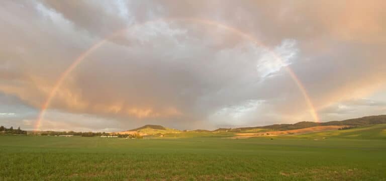 Large complete rainbow over the grassland